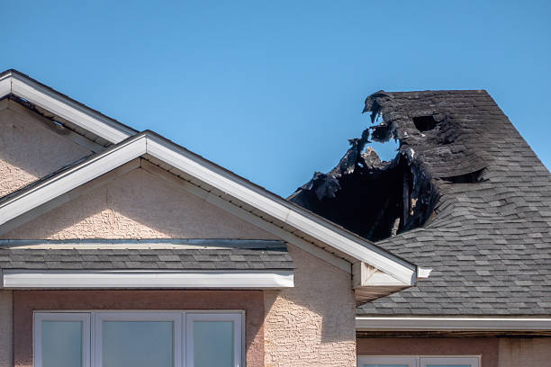 Licensed Content Restoration service in Saint Francis, MN - Fire Damage Biloxi